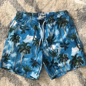 Palm tree swim trunks men’s small